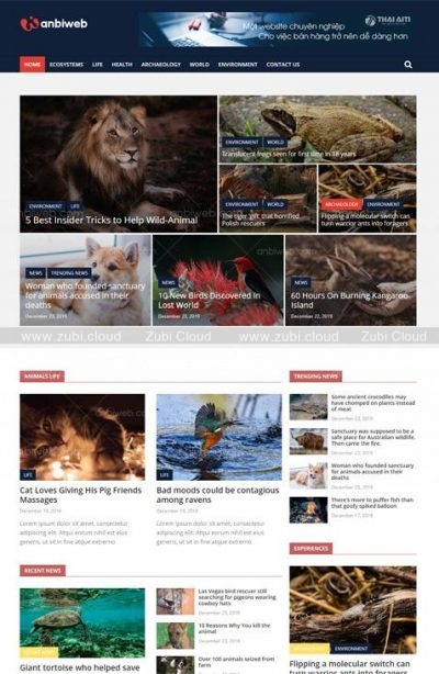 Themes WordPress News3