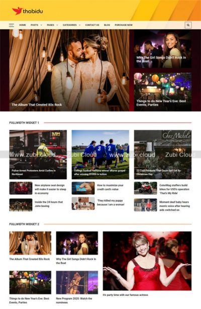 Newspaper 3 Theme WordPress